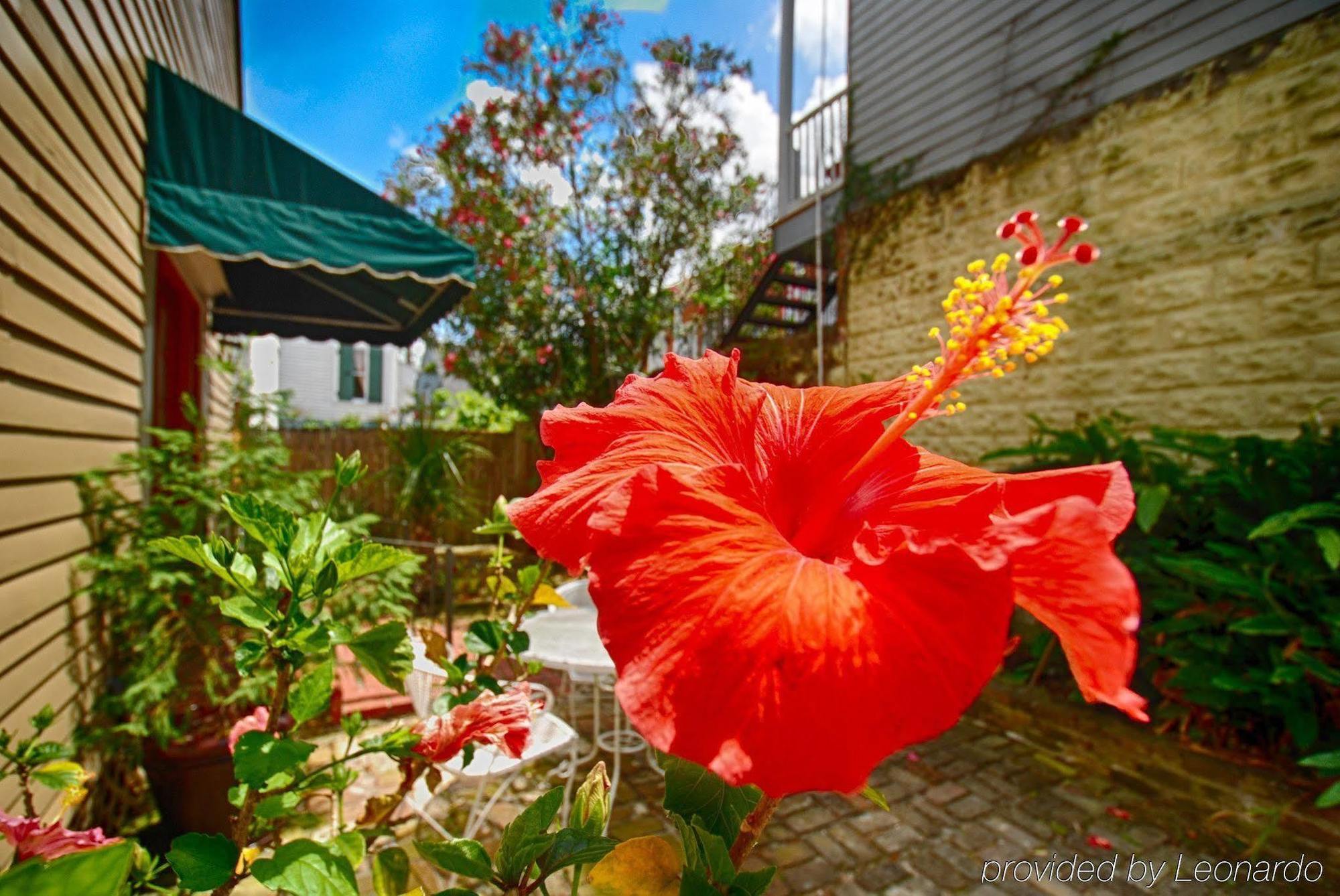 Lamothe House Hotel A French Quarter Guest Houses Property Nueva Orleans Exterior foto